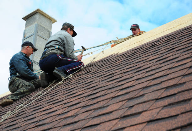 Best Gutter Installation and Roofing  in Belvedere, CA